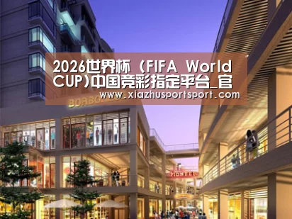 案例展示一(图1)