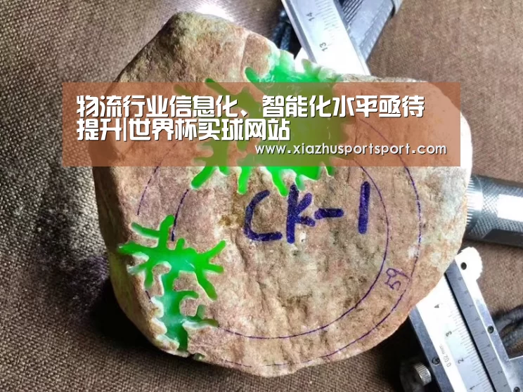 物流行业信息化、智能化水平亟待提升|世界杯买球网站(图3) 世界杯买球官网
