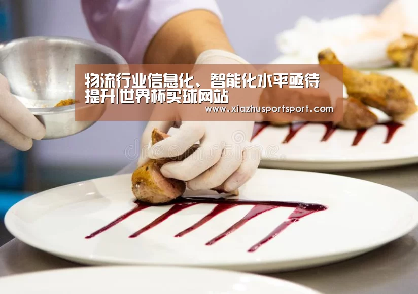 物流行业信息化、智能化水平亟待提升|世界杯买球网站(图2) 世界杯买球