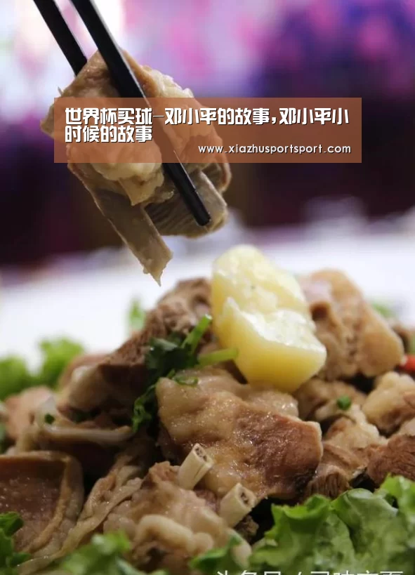 世界杯买球官网