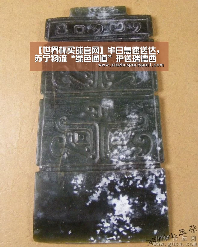 【世界杯买球官网】半日急速送达,苏宁物流“绿色通道”护送瑞德西韦试验项目物资...(图4) 世界杯买球