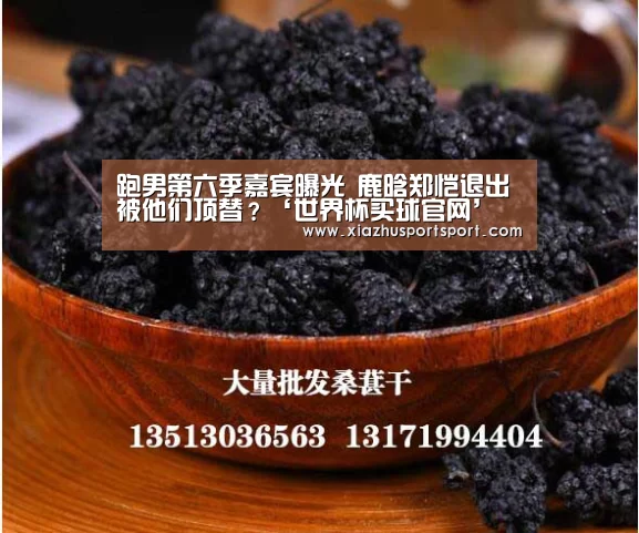 跑男第六季嘉宾曝光 鹿晗郑恺退出被他们顶替?‘世界杯买球官网’(图1) 世界杯买球网站