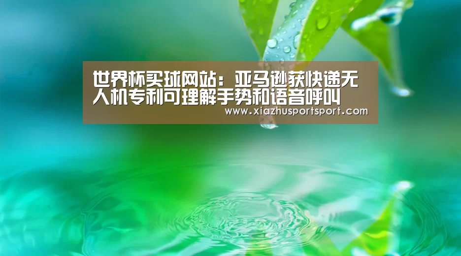 世界杯买球网站:亚马逊获快递无人机专利可理解手势和语音呼叫(图2) 世界杯买球网站