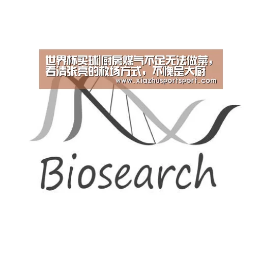 世界杯买球|厨房煤气不足无法做菜,看清张亮的救场方式,不愧是大厨级此外人(图3) 世界杯买球官网