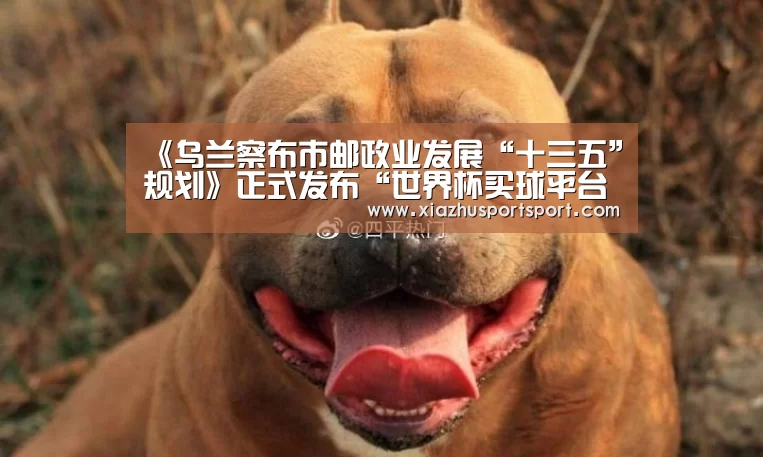 《乌兰察布市邮政业发展“十三五”规划》正式发布“世界杯买球平台”(图1) 世界杯买球平台