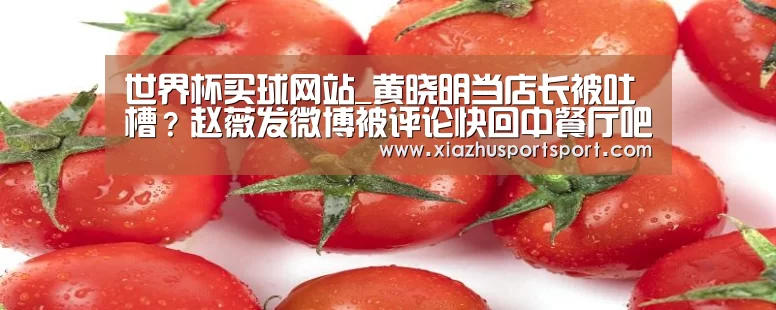 世界杯买球官网